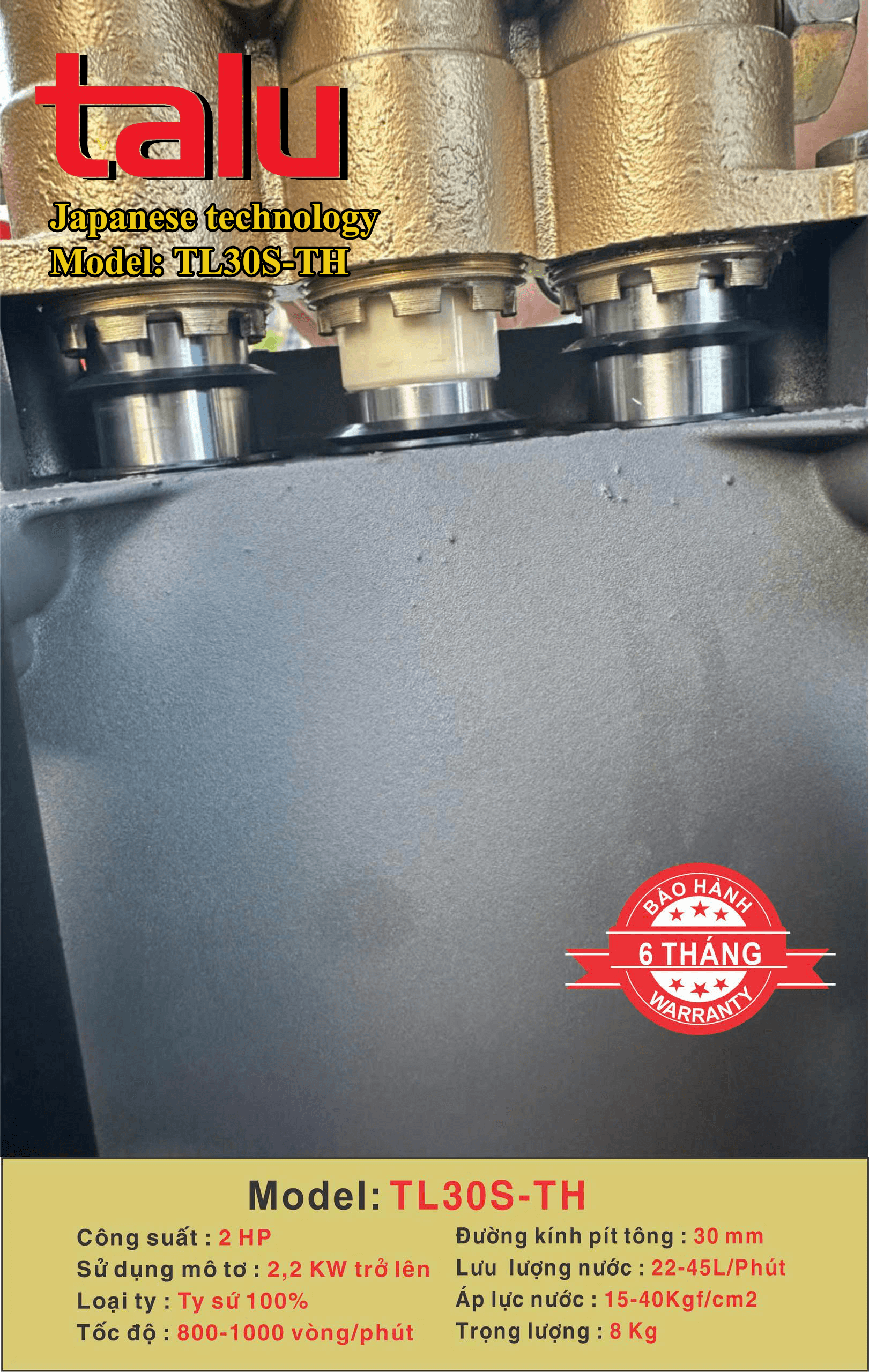 Đầu xịt cao áp TALU TL30S-TH xilanh 30mm 2HP ty sứ - Góc nhìn 6